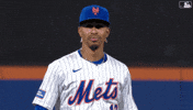 Laugh Smile GIF by New York Mets