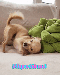 Happy Play With Me GIF