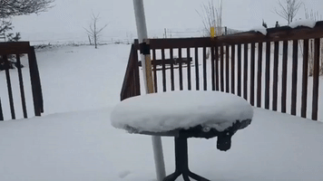 From 3.5 Inches to Zero: Timelapse Shows Snow Melting in Cedar Rapids