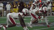 Miamioh GIF by Miami RedHawks Football