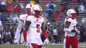 Miamioh GIF by Miami RedHawks Football
