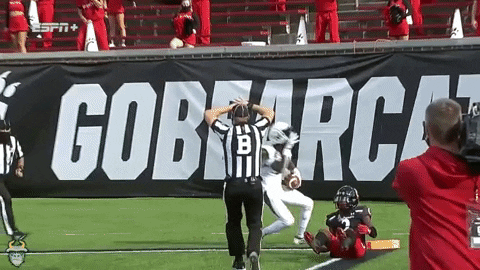 Interception Usf GIF by SoFloBulls