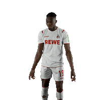 Fc Cologne Bundesliga Sticker by 1. FC Köln