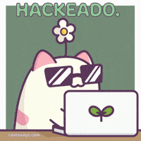 Kitty Hacking GIF by Castaways