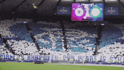 GIF by Rangers Football Club