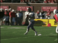 celebration touchdown GIF by JMUDukes