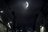 Marvel Cinematic Universe Jump GIF by Leroy Patterson