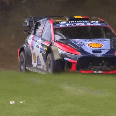 No Problem Motorsport GIF by FIA World Rally Championship