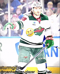 Minnesota Wild Hockey GIF