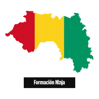 Flag Bandera Sticker by Formación Ninja