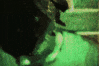 Geek GIF by STRAPPED!