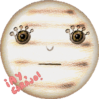 Venezuela Oops Sticker