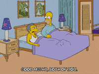 homer simpson gay GIF