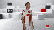 Posing Line Up GIF by Bundesliga