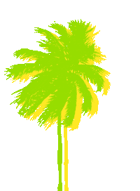 Summer Sun Sticker by BOXYCHARM