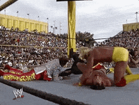 hulk hogan wrestling GIF by WWE