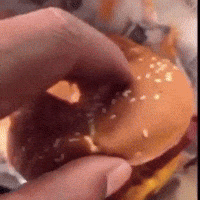 Boiled Egg Burger GIF by Respective