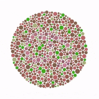 OTHERCOLORS vision othercolors what do you see GIF