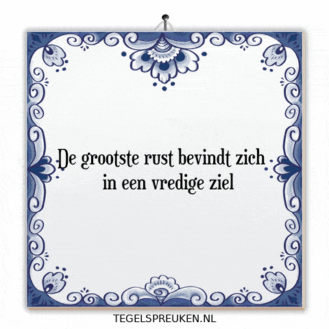 Humor Nl GIF by Tegelspreuken.nl