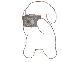 Dog Camera Sticker