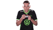 E Sports Sport Sticker by VfL Wolfsburg