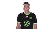 E Sports Sport Sticker by VfL Wolfsburg