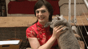 flanderscompany cat drop hitomi flanderscompany GIF