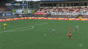 GIF by FOX Sports