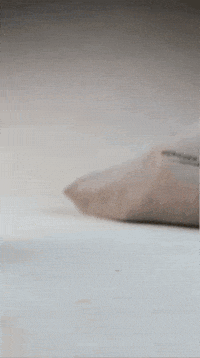 Vino Weinhaus GIF by Pur Südtirol