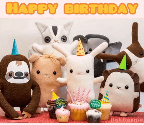 Happy Birthday Party GIF by Flat Bonnie