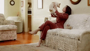 Dog Fashion GIF by Mattiel
