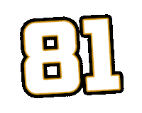 Sport Hockey Sticker