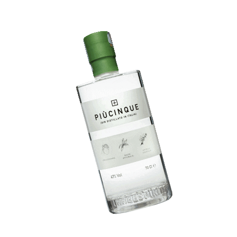 PiuCinque giphyupload gin piùcinque Sticker