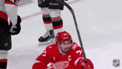 Happy Red Wings GIF by NHL