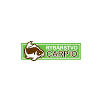 Fish Kapor Sticker by Carpio