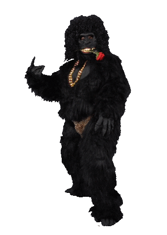 Rose Love Sticker by GIPHY Studios 2022