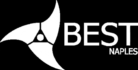 bestnapoli giphygifmaker GIF