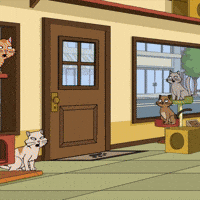 Cat Hissing | FAMILY GUY