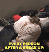 swagrman crying relationships heartbroken break up GIF