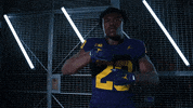 Go Blue GIF by Michigan Athletics