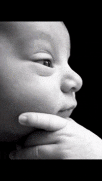 Happy Birthday GIF by Youtooz