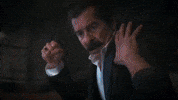 Show GIF by Ay Yapım