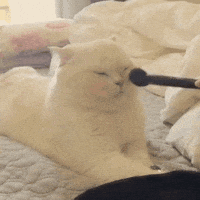 Makeup GIF by MOODMAN