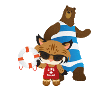 appexchange dance cat summer bear Sticker