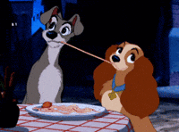 A Dama E O Vagabundo Disney GIF