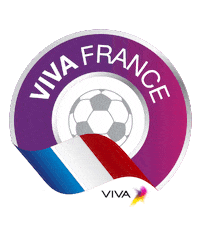 france football Sticker by VIVA Bahrain