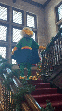 Gulls GIF by Endicott College