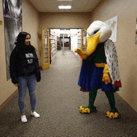 Gulls GIF by Endicott College