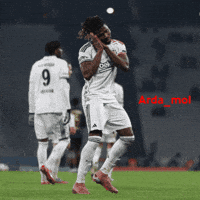 Ardamol GIF