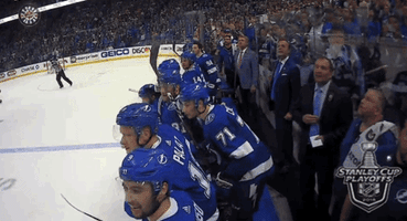 happy ice hockey GIF by NHL